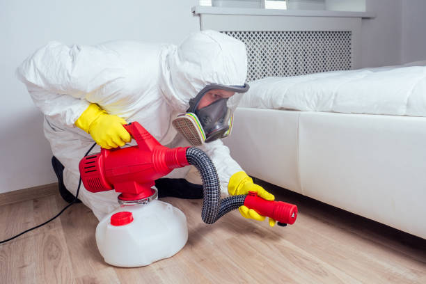 Flea Control Services in Independence, KY